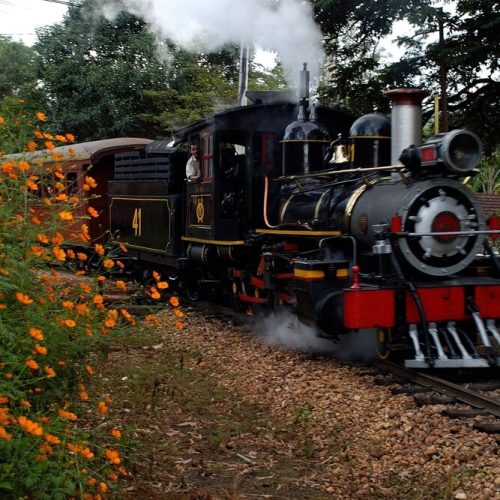 viagem são lourenço trem da cidade